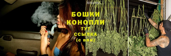 PSILOCYBIN Богородск