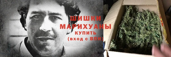 PSILOCYBIN Богородск